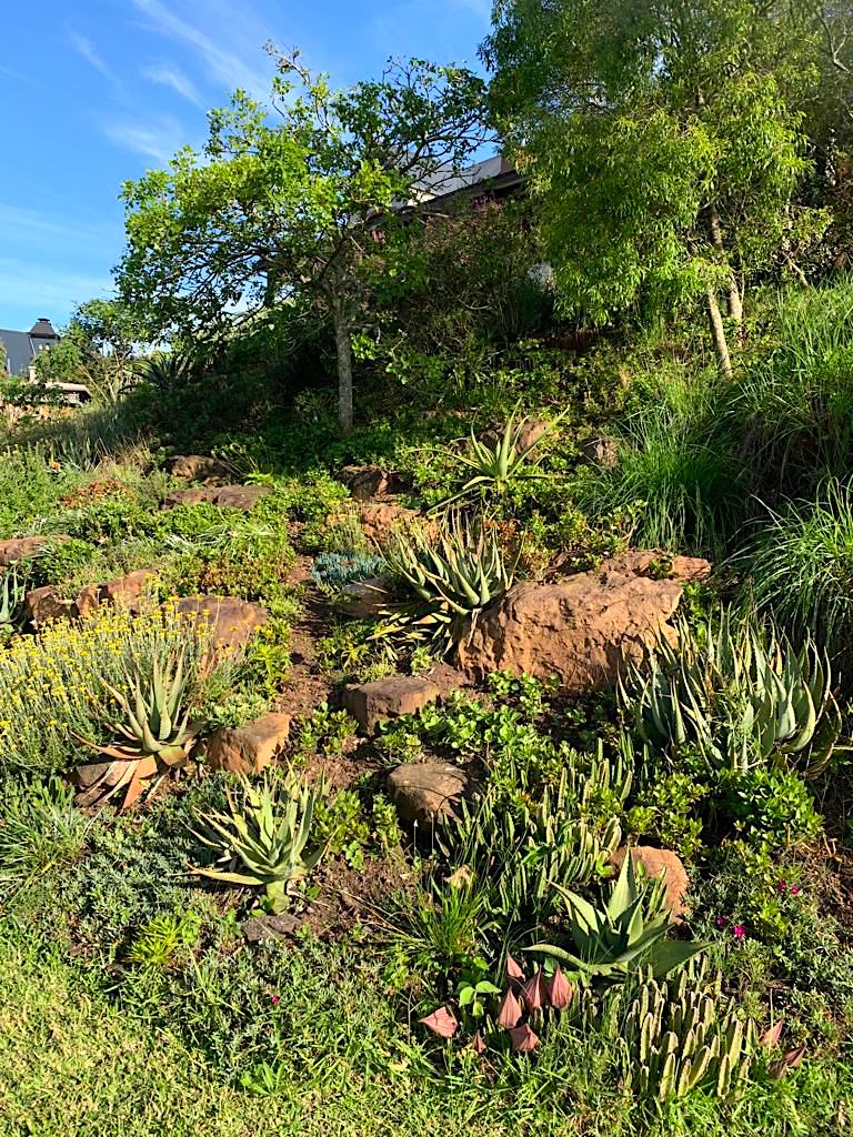 Indigenous Open Gardens - Garden 5